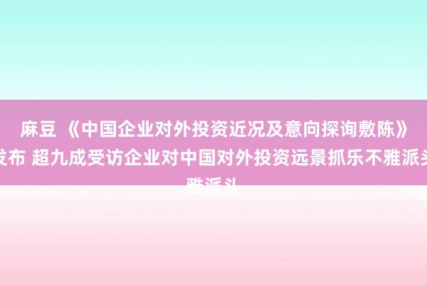 麻豆 《中国企业对外投资近况及意向探询敷陈》发布 超九成受访企业对中国对外投资远景抓乐不雅派头