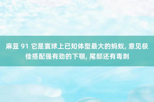 麻豆 91 它是寰球上已知体型最大的蚂蚁， 意见极佳搭配强有劲的下颚， 尾部还有毒刺