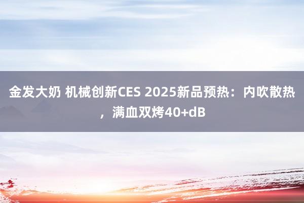 金发大奶 机械创新CES 2025新品预热：内吹散热，满血双烤40+dB