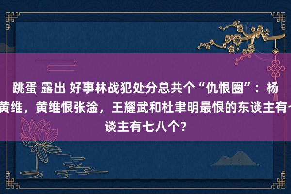 跳蛋 露出 好事林战犯处分总共个“仇恨圈”：杨伯涛恨黄维，黄维恨张淦，王耀武和杜聿明最恨的东谈主有七八个？