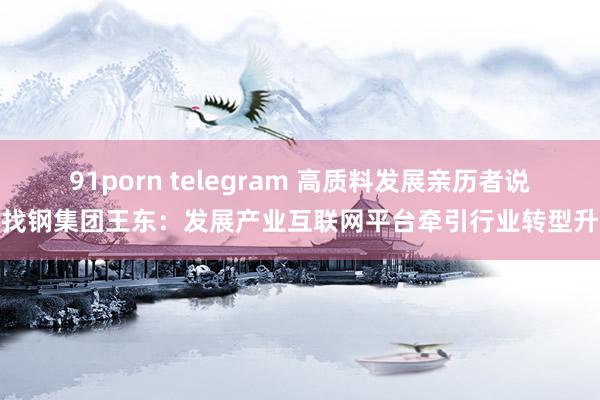 91porn telegram 高质料发展亲历者说｜找钢集团王东：发展产业互联网平台牵引行业转型升级