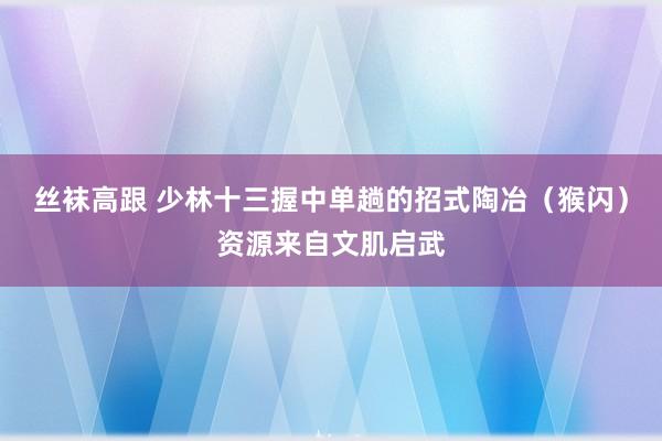 丝袜高跟 少林十三握中单趟的招式陶冶（猴闪）资源来自文肌启武