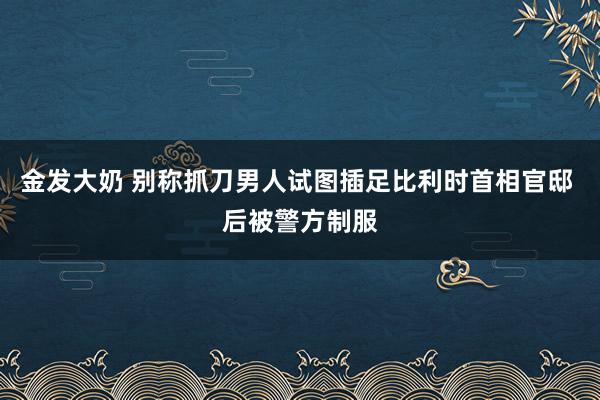 金发大奶 别称抓刀男人试图插足比利时首相官邸 后被警方制服