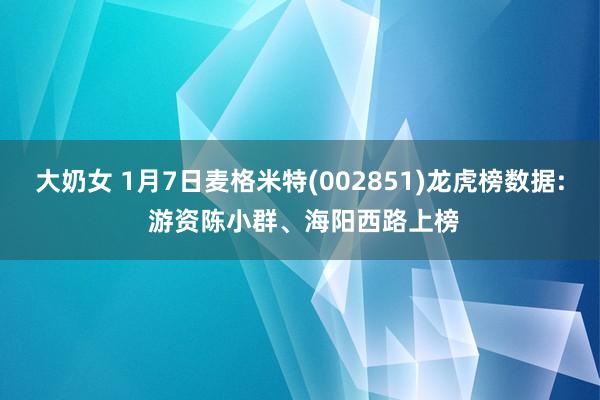 大奶女 1月7日麦格米特(002851)龙虎榜数据: 游资陈小群、海阳西路上榜