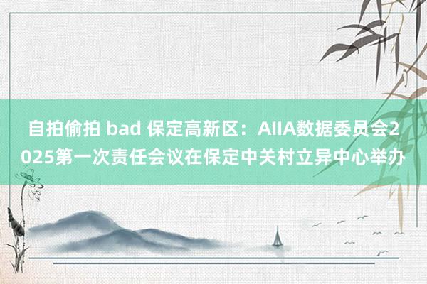 自拍偷拍 bad 保定高新区：AIIA数据委员会2025第一次责任会议在保定中关村立异中心举办