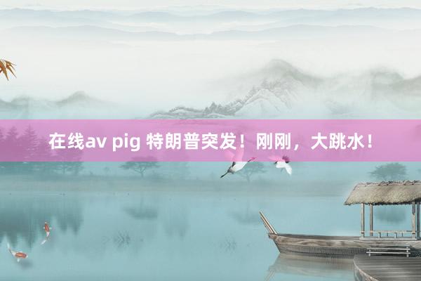 在线av pig 特朗普突发！刚刚，大跳水！