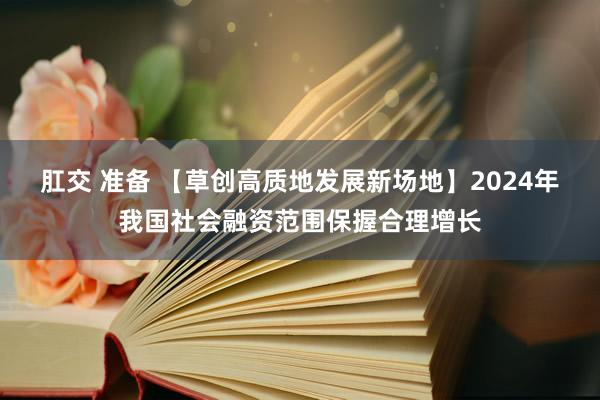 肛交 准备 【草创高质地发展新场地】2024年我国社会融资范围保握合理增长