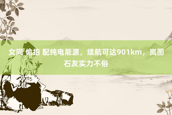 女同 偷拍 配纯电能源，续航可达901km，岚图石友实力不俗