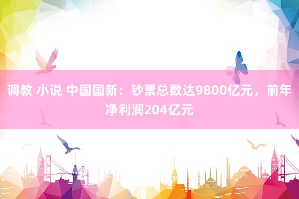 调教 小说 中国国新：钞票总数达9800亿元，前年净利润204亿元